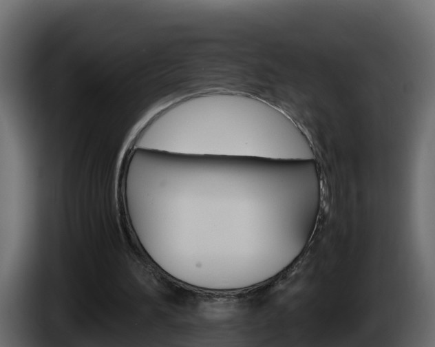 X0000086030196200703231002