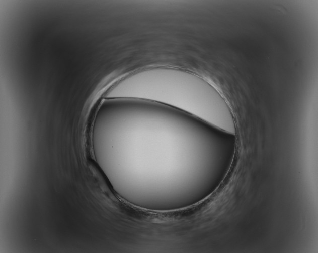 X0000086030199200703231002