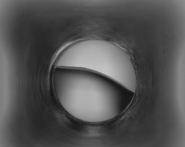 X0000086030200200703231002