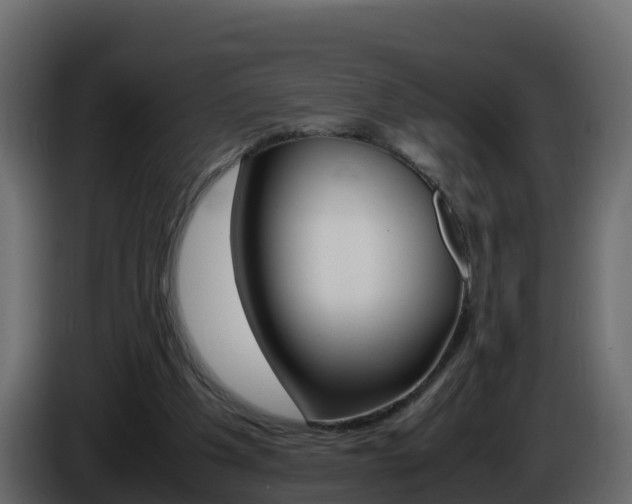 X0000086030201200703231002