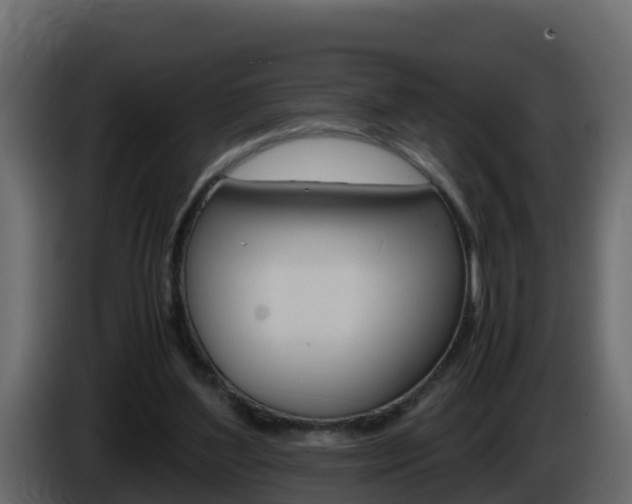 X0000086030204200703231002