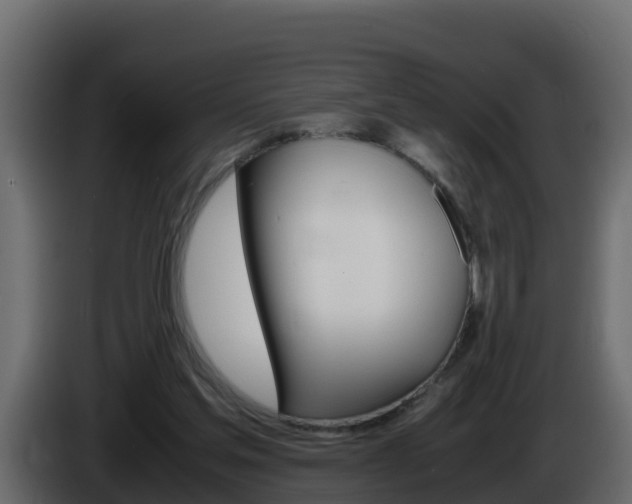 X0000086030205200703231002