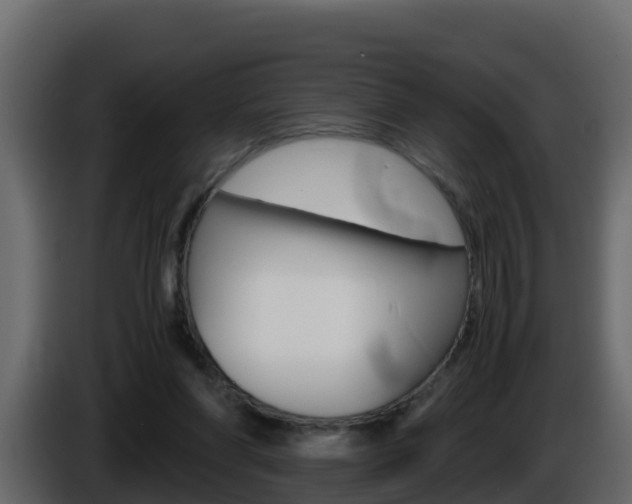 X0000086030206200703231002