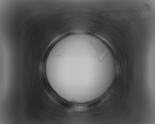X0000086030208200703231002