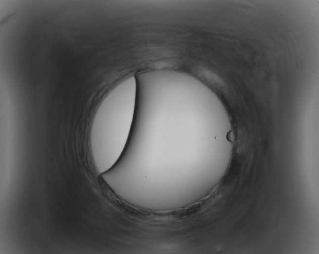 X0000086030210200703231002