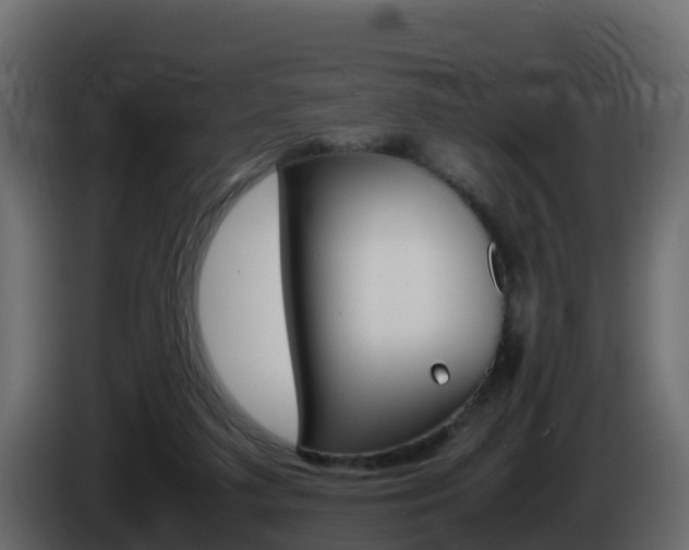 X0000086030211200703231002