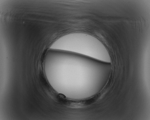X0000086030213200703231002