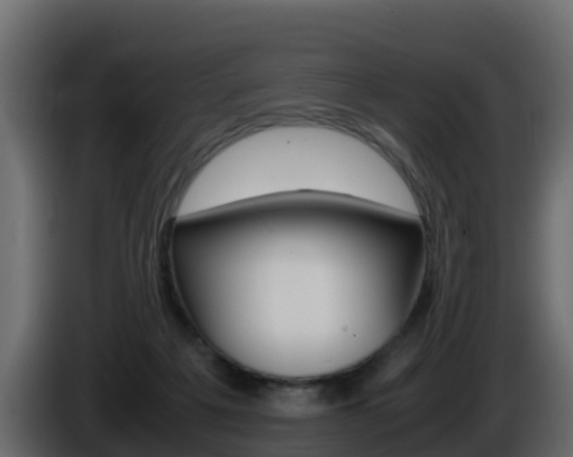 X0000086030217200703231002