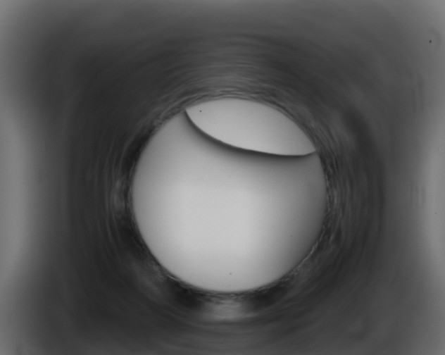 X0000086030218200703231002