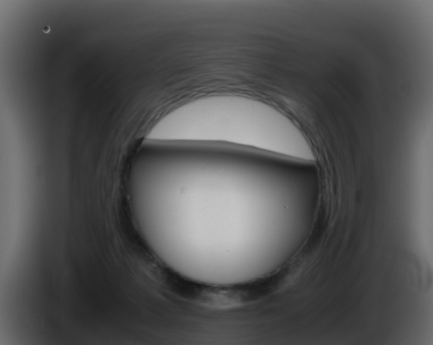 X0000086030221200703231002