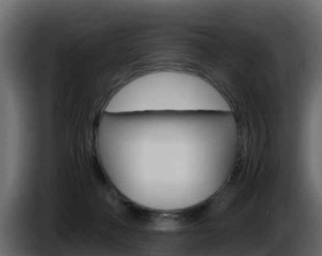 X0000086030222200703231002