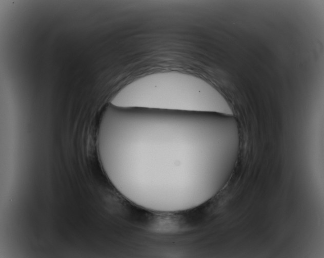 X0000086030226200703231002