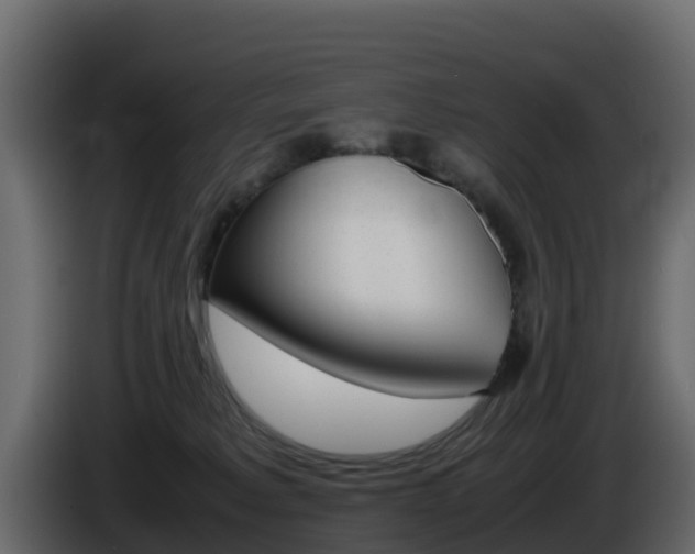 X0000086030229200703231001
