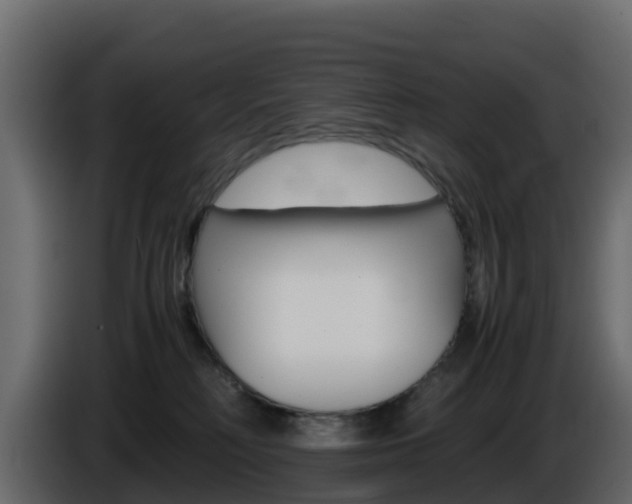 X0000086030230200703231001
