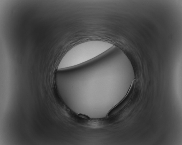 X0000086030231200703231001