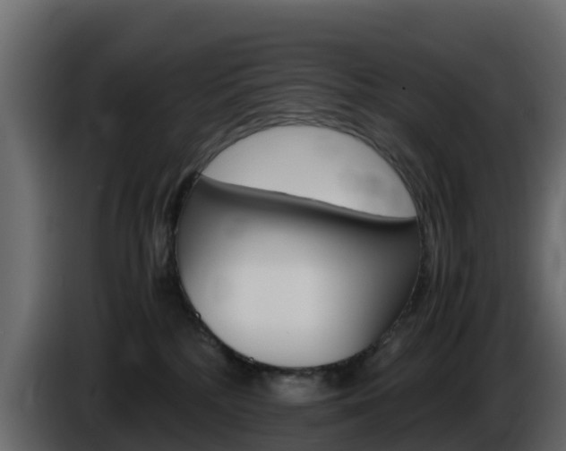 X0000086030232200703231001
