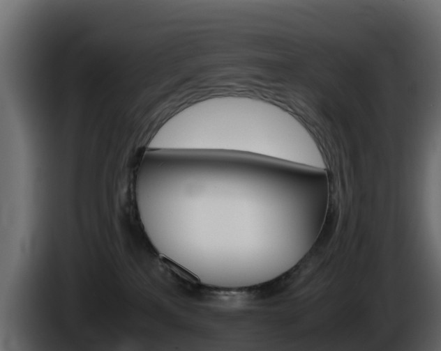 X0000086030233200703231001