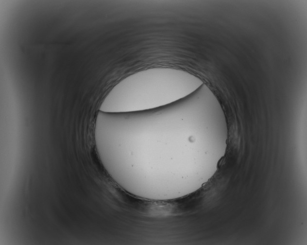 X0000086030234200703231001