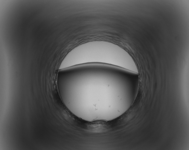 X0000086030237200703231001