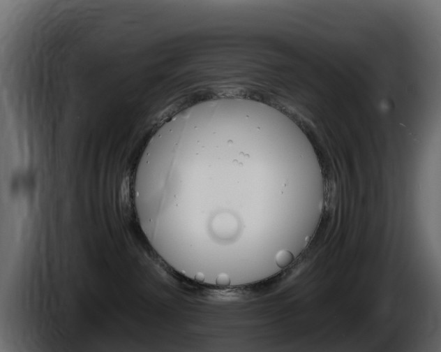 X0000086030238200703231001