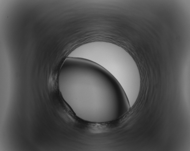 X0000086030239200703231001