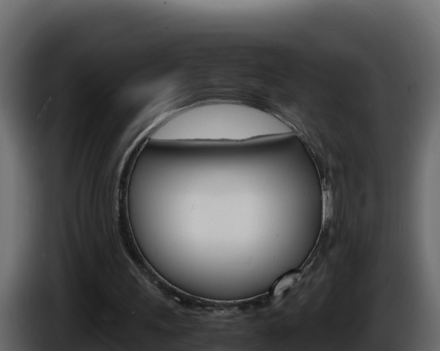 X0000086030243200703231001