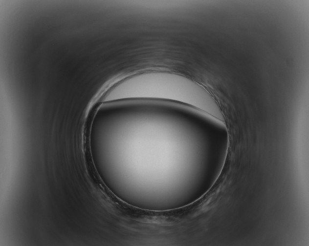 X0000086030244200703231001
