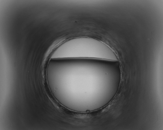 X0000086030245200703231001