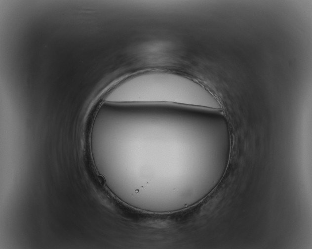 X0000086030247200703231001