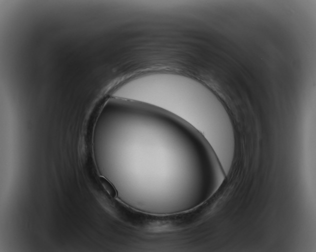 X0000086030252200703231001