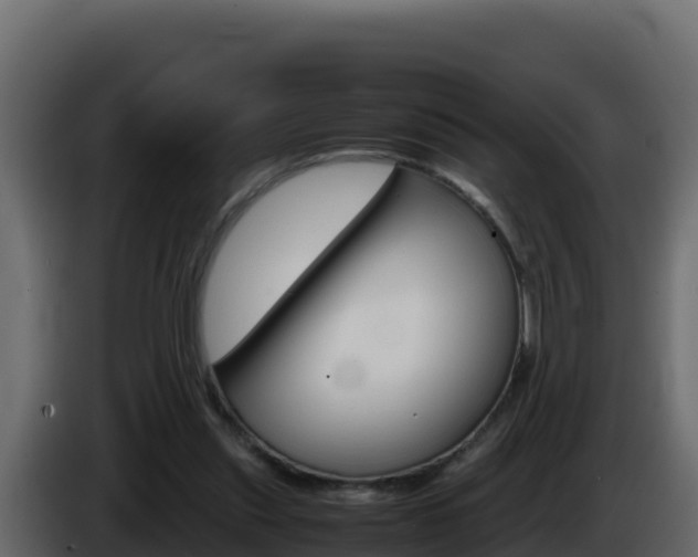 X0000086030253200703231001
