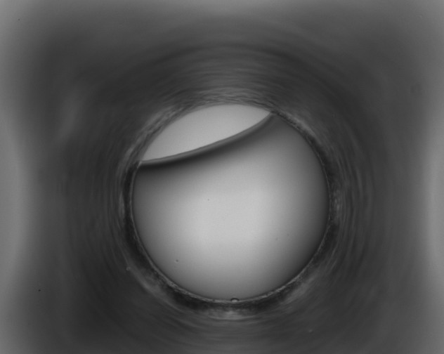 X0000086030254200703231001