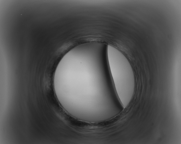 X0000086030255200703231001