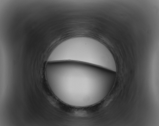 X0000086030258200703231001