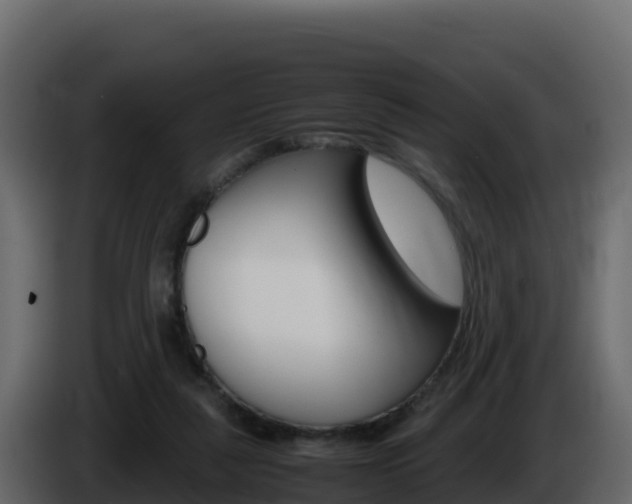 X0000086030259200703231001