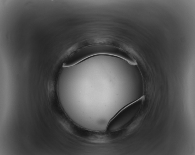 X0000086030260200703231001
