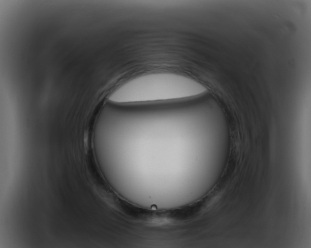 X0000086030262200703231001