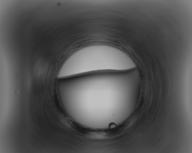 X0000086030266200703231001