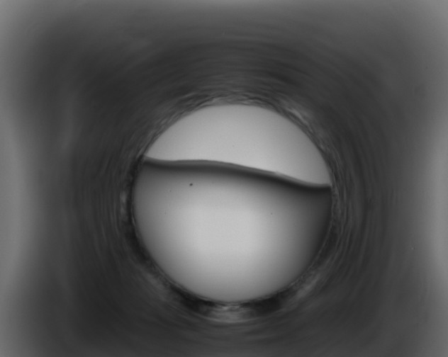 X0000086030269200703231001