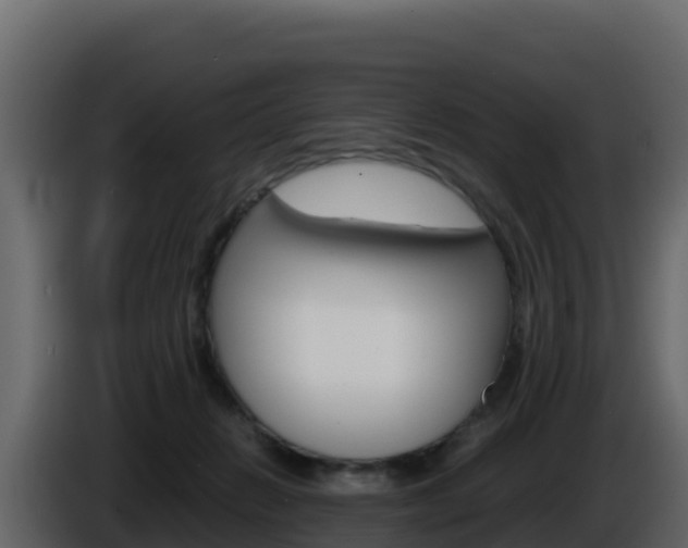 X0000086030270200703231001