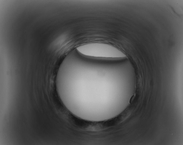 X0000086030271200703231001