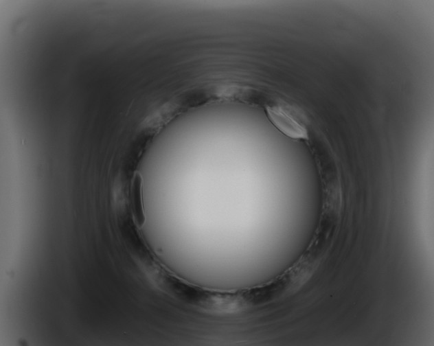 X0000086030272200703231001