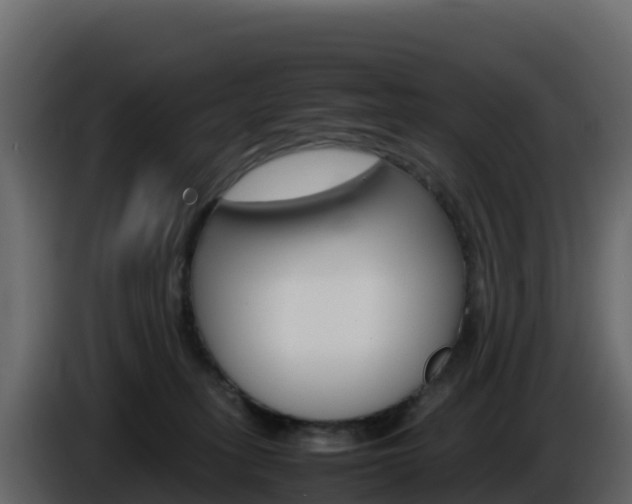 X0000086030275200703231001
