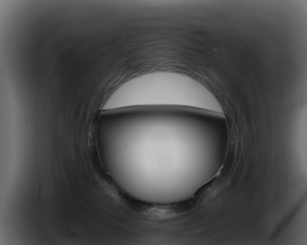 X0000086030280200703231001