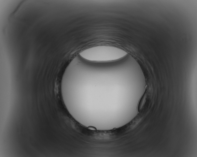X0000086030282200703231001