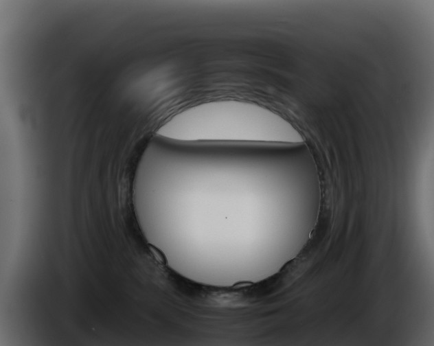 X0000086030283200703231001