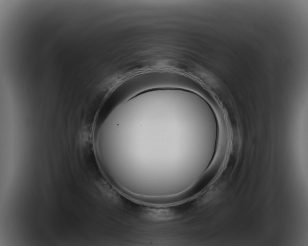 X0000086030284200703231001
