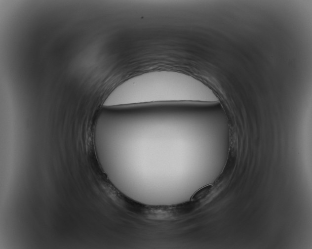 X0000086030285200703231001