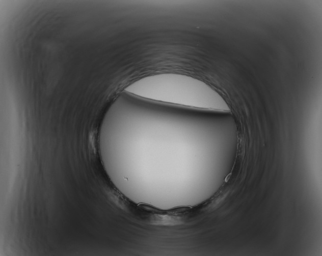 X0000086030286200703231001