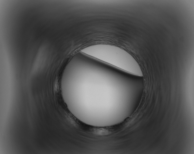 X0000086030287200703231001